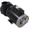 3721221-1VHZN Pump WW Viper3.0hp US Motor230v2-Spd56fr2-1/2