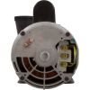 3722021-13HZW Pump WW Exec 5.0hp Century230v2-Spd56fr2-1/2