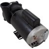 3722021-13HZW Pump WW Exec 5.0hp Century230v2-Spd56fr2-1/2