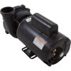 3711621-13HZW Pump WW Exec 4.0hp Century230v1-Spd56fr2-1/2