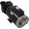 3721621-1DHZN Pump WW Exec 4.0hp US Motor 230v 2-Spd 56fr 2