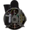 3421821-13HZW Pump WW Exec 4.0hp Century 230v 2-Spd 48fr 2-1/2