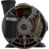 3410830-1AHZW Pump WW Exec 2.0hp Century Conv 1-Spd 48fr 2