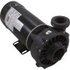 3410612-10HZW Pump WW Hi-Flo 1.5hp Century Conv 1-Spd 48fr 2