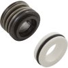 U109-93SS Shaft Seal Pent StaRite DuraGlas 5/8