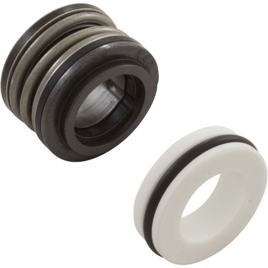 U109-93SS Shaft Seal Pent StaRite DuraGlas 5/8