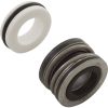 U109-93SS Shaft Seal Pent StaRite DuraGlas 5/8