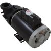 1016012-2HZN Pump BWG Vico Ultimax 2.0hp USMotor 230v 2-Spd 56fr 2