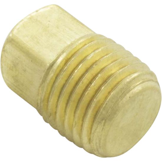 071551 Drain Plug Pentair C-Series 1/4"