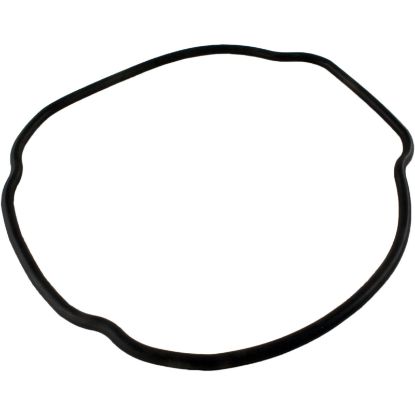 SPX3200T O-Ring Hayward Tristar/EcoStar C Housing