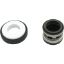 SPX4000SA2 Shaft Seal Hayward Northstar 3/4