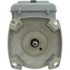 B2984T Motor Century2.0hp230v2-Spd56YfrSQFL2-Green