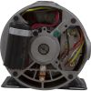 BN35V1 Motor Century/WW 1.5hp 115v/230v 1-Speed 48 Frame