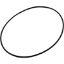 WCS1226911 O-Ring Waterco AquaMite/SupaMite Seal Plate O-299
