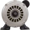 SPH25FL1 Motor Nidec/US Motor 2.5hp 230v 1-Speed 48Y Frame