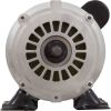 SPH25FL1 Motor Nidec/US Motor 2.5hp 230v 1-Speed 48Y Frame