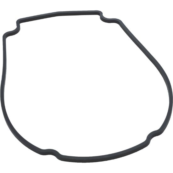 806-1400 Gasket Waterway Econo Flo/Champion Faceplate