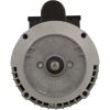 B63BZACC1046 Motor Century0.75hp230v2-Spd56CfrThd Badu EcoM2