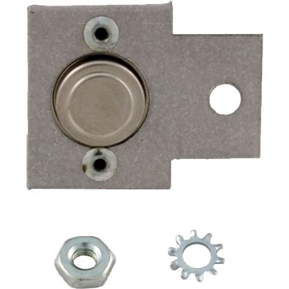 R0319700 Hi-Limit Zodiac Laars HI-E2