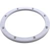 87101900 Sealing Ring Pentair American Products Sump Body