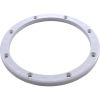 87101900 Sealing Ring Pentair American Products Sump Body
