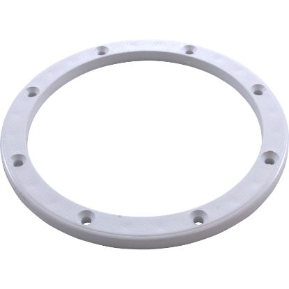 87101900 Sealing Ring Pentair American Products Sump Body