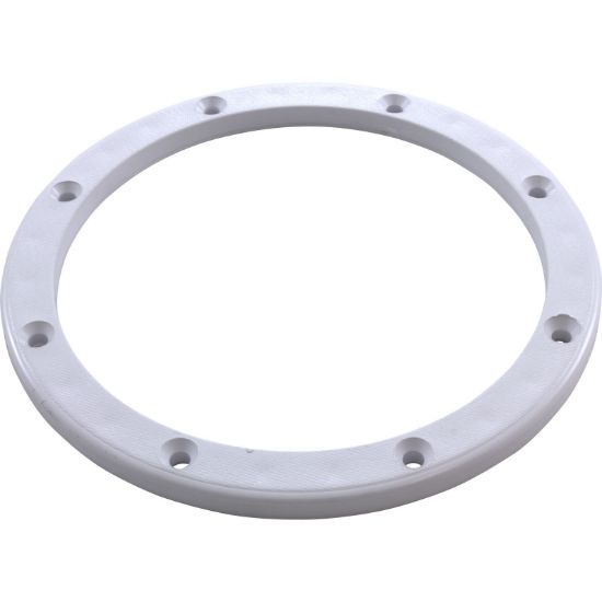87101900 Sealing Ring Pentair American Products Sump Body