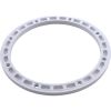 87101900 Sealing Ring Pentair American Products Sump Body