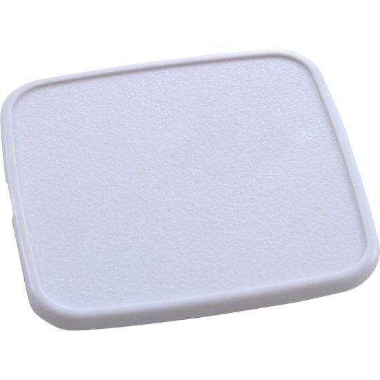 45119500 Logo Disc Pentair Hyper Flow White