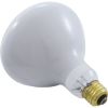 BR40FL300 Replacement Bulb Flood Lamp 300w 115v