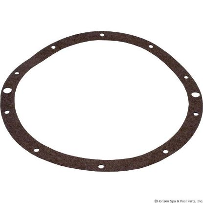 SPX0506D Light Gasket Hayward SP0506 SP0506UV