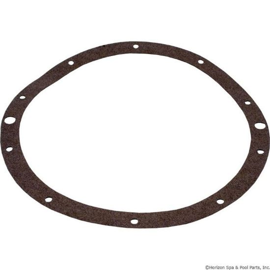 SPX0506D Light Gasket Hayward SP0506 SP0506UV
