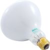 R0450503 Replacement Bulb Zodiac 12v 300w Pool