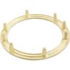 79205600 Light Niche Backup Ring Pentair AquaLight Tapped SS