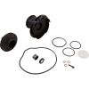 53794 JCZ JVX160 IMPELLER KIT