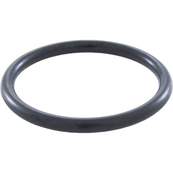 E21 O-Ring Pentair Letro Legend Cleaners Wall Fitting qty 2