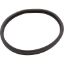  Gasket AmerLite/SAM Light Lens Generic
