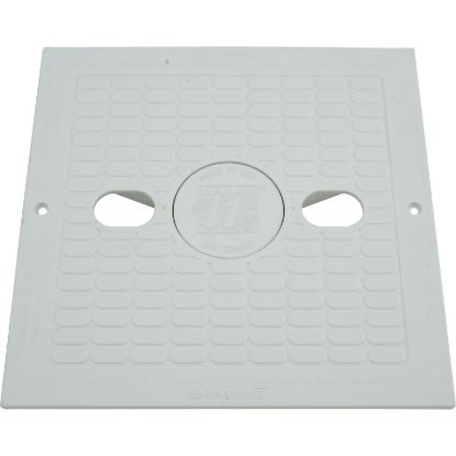 540-6490WW Skimmer Lid Waterway Renegade 10