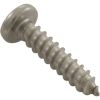 70114R39016 Screw Astral In-Ground Skimmer A2 3.9x16