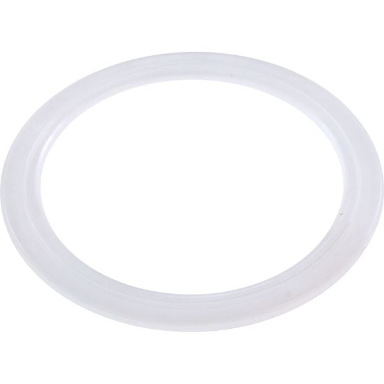 980600 Gasket Pentair Max Flow Flat