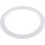 980600 Gasket Pentair Max Flow Flat