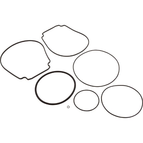  Pump O-Ring Kit Generic WhisperFlo/IntelliFlo