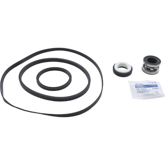 PSK-HA1 Pump Rebuild Kit Hayward 1800/2800 Series with Viton Seal