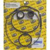 PSK-HA1 Pump Rebuild Kit Hayward 1800/2800 Series with Viton Seal