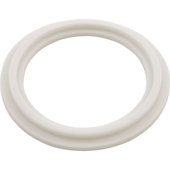 21619 O-Ring/Gasket Balboa 2