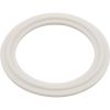 21619 O-Ring/Gasket Balboa 2