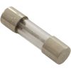 1930126 Fuse Maytronics Dolphin Slow Blow 1.25A 5 x 20