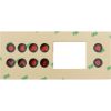 9916-100761 Overlay Gecko TSC-4 10 Button P1 P2 Bl Lt Eco Filt