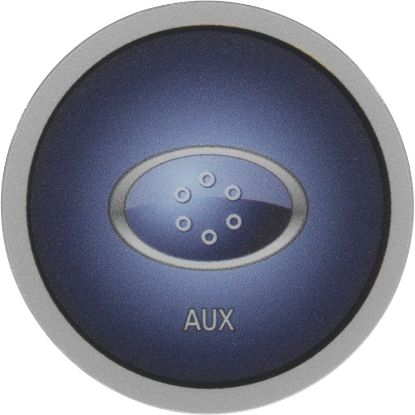 12107 Overlay Balboa Water Group Auxiliary AX10 Aux