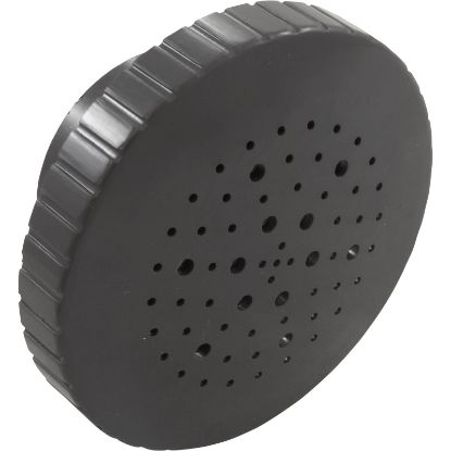 23315-307-000 Rain Spa Jet Internal 1-1/2" Dark Gray